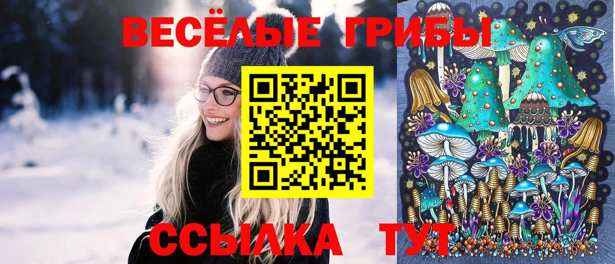 Галлюциногенные грибы Psilocybe  Долгопрудный  Галлюциногенные грибы Psilocybine cubensis 